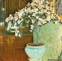 Azalea