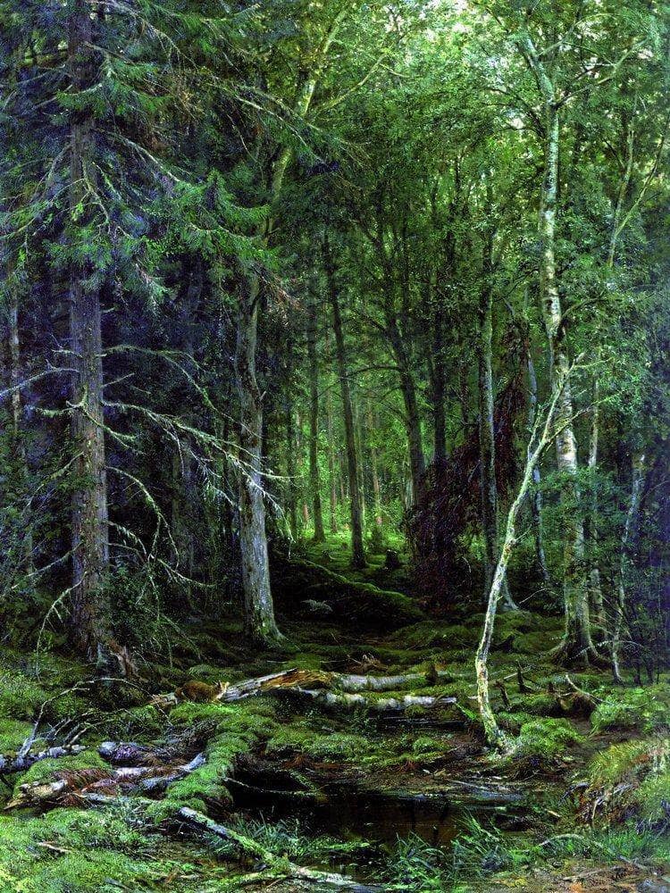 Backwoods by Ivan Shishkin — hand-painted botanical oil painting reproduction on canvas