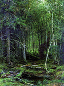 Backwoods by Ivan Shishkin — seascapes oil painting wall art, Realism