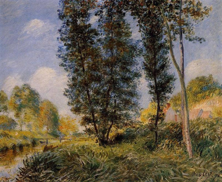Banks of the Orvanne by Alfred Sisley — hand-painted botanical oil painting reproduction on canvas
