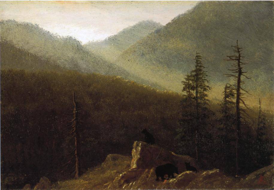 Bears in the Wilderness - Albert Bierstadt