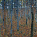 Beech Grove I by Gustav Klimt — hand-painted botanical oil painting reproduction on canvas