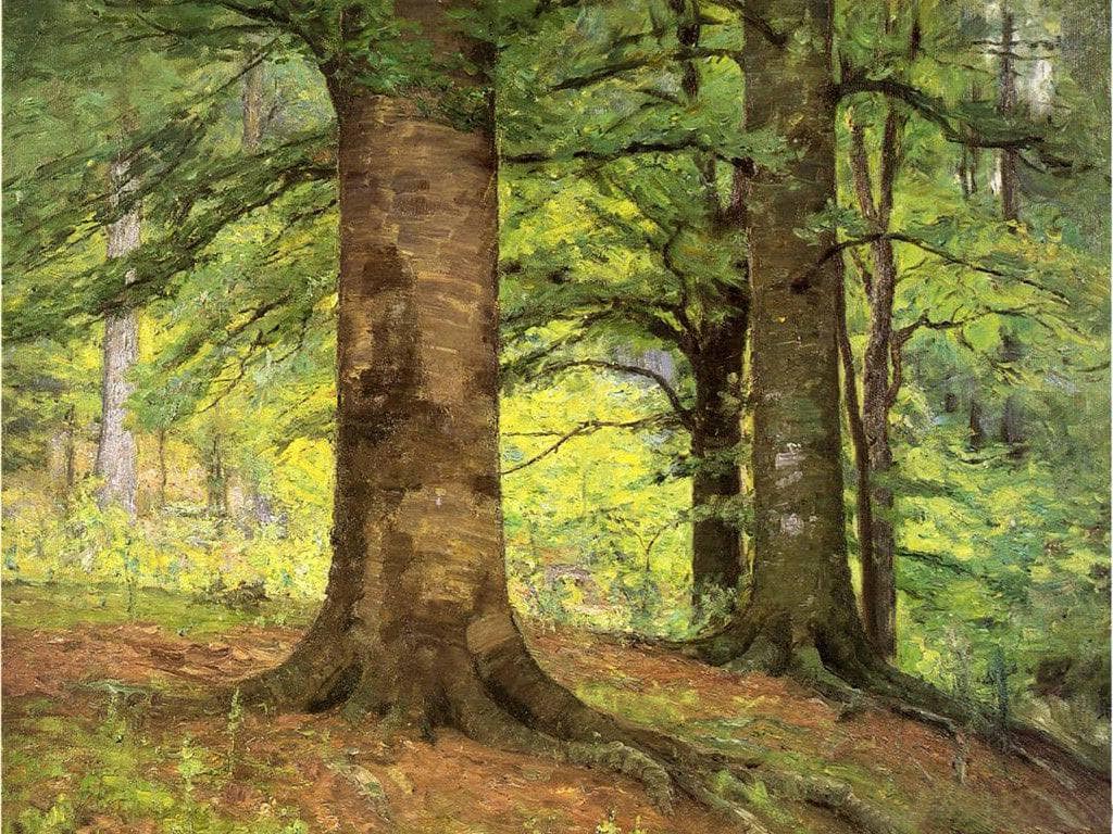 Beech Trees by T. C. Steele — hand-painted botanical oil painting reproduction on canvas
