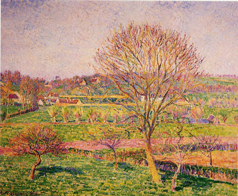 Big Walnut Tree at Eragny - Camille Pissarro