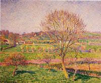 Big Walnut Tree at Eragny