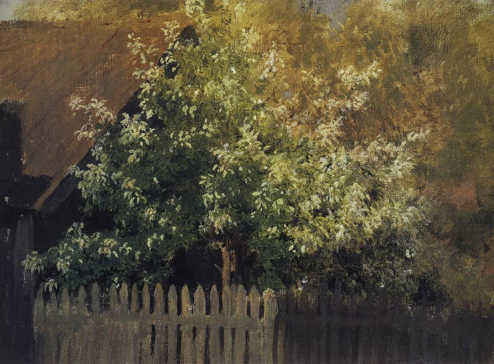 Bird Cherry Tree - Isaac Levitan