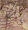 Blossoms at Giverny in hallway