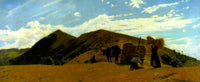 Grain harvesting on the Apennines