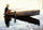 Boy in a Boat Fishing in dining room