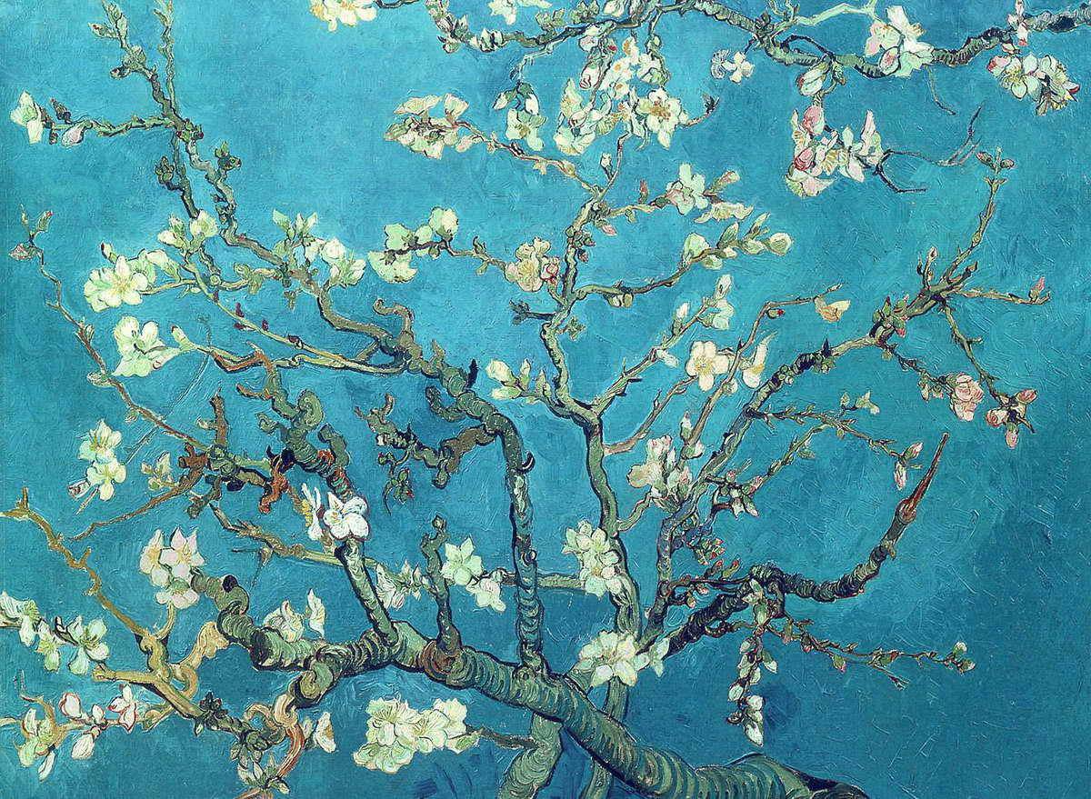 Branches with Almond Blossom - Vincent van Gogh