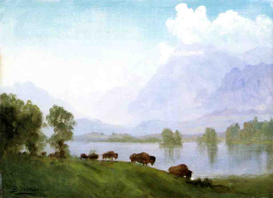 Buffalo Country by Albert Bierstadt — hand-painted animal oil painting reproduction on canvas