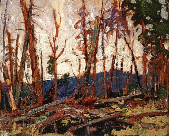 Burnt Country, Evening. Sketch for 'Burnt Land' by Tom Thomson — hand-painted botanical oil painting reproduction on canvas
