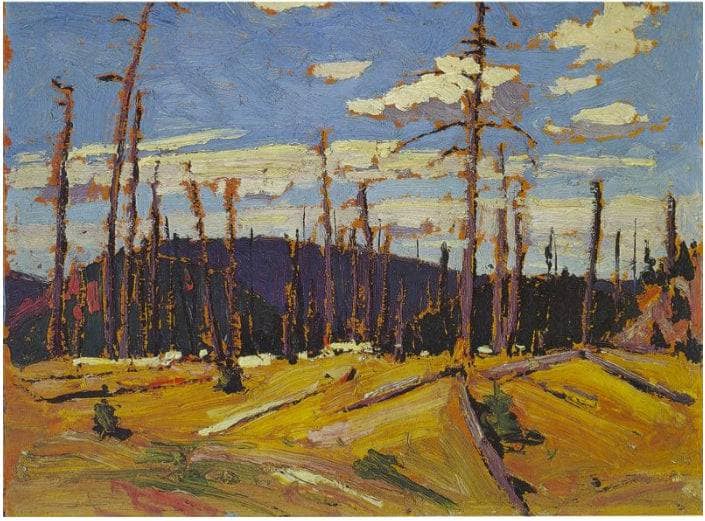 Burnt-Over Forest by Tom Thomson — hand-painted botanical oil painting reproduction on canvas