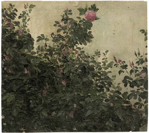 Bush roses - Karl Gussow