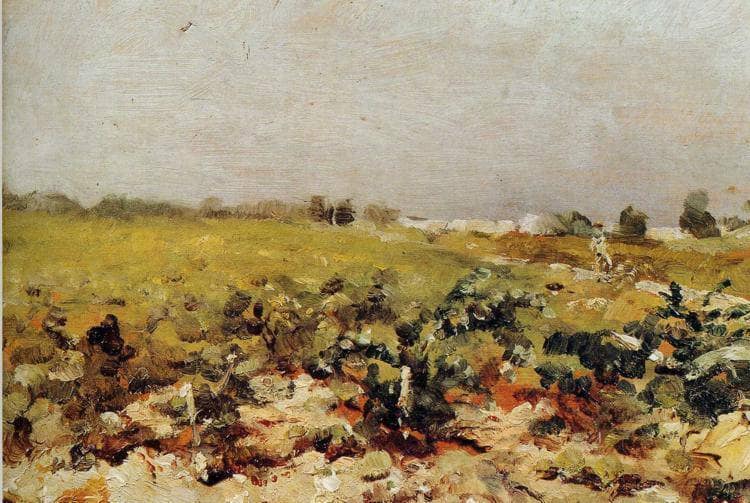 C leyran View of the Vignards by Henri de Toulouse-Lautrec — hand-painted botanical oil painting reproduction on canvas