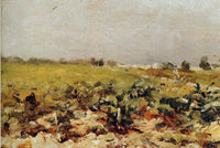 C leyran View of the Vignards by Henri de Toulouse-Lautrec — hand-painted botanical oil painting reproduction on canvas