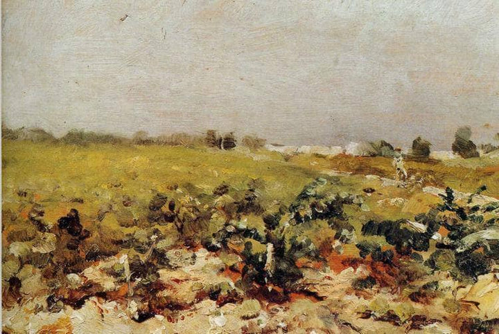 C leyran View of the Vignards by Henri de Toulouse-Lautrec — hand-painted botanical oil painting reproduction on canvas