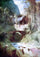 The Forest Canyon in home office