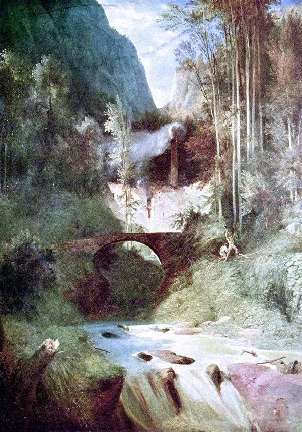 The Forest Canyon