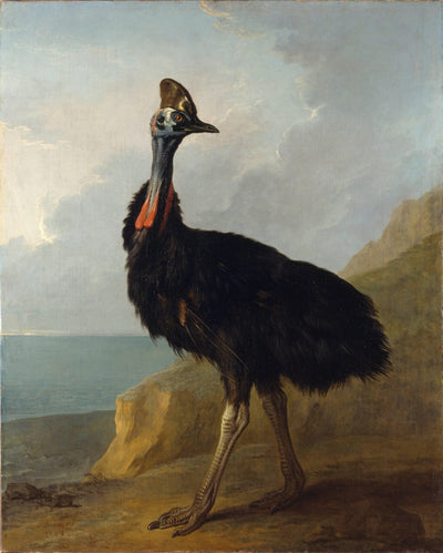Cassowary in modern living room