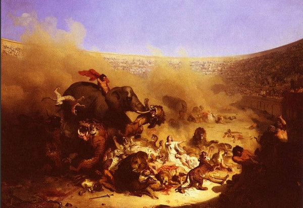 Fights in the Arena