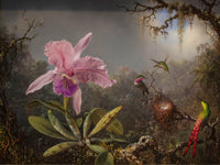 Cattleya Orchid and Three Hummingbirds by Martin Johnson Heade — hand-painted animal oil painting reproduction on canvas