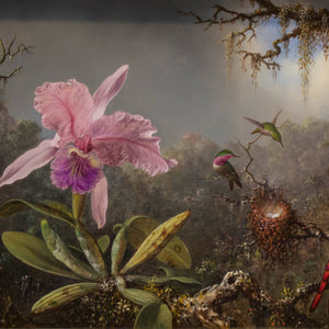Cattleya Orchid and Three Hummingbirds