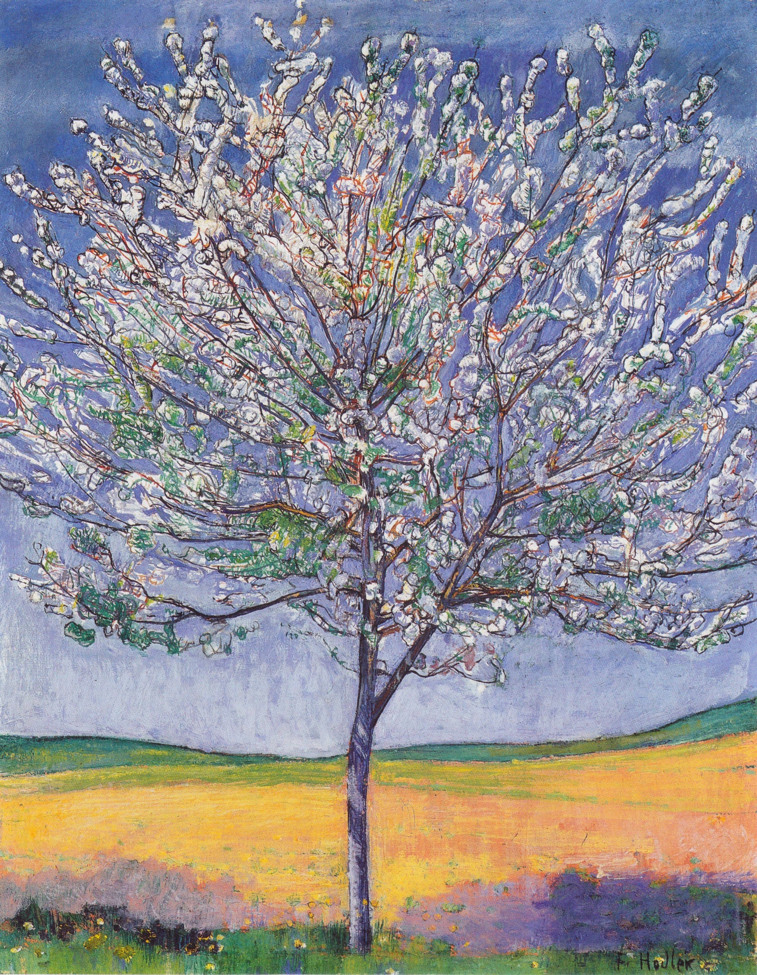 Cherry Tree in Bloom - Ferdinand Hodler