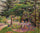 Children in a Garden at Eragny in modern living room