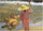 Children on the seashore in kitchen
