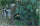 Children Playing in a Garden in apartment