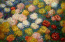Chrysanthemums by Claude Monet — hand-painted abstract oil painting reproduction on canvas