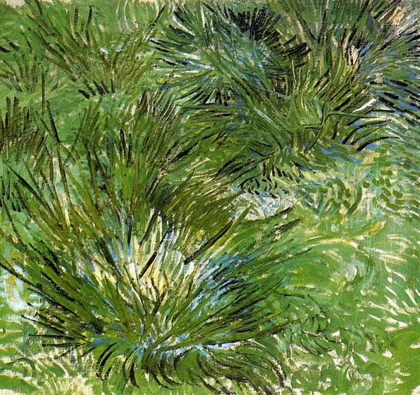 Clumps of Grass