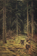 Coniferous Forest by Ivan Shishkin — hand-painted botanical oil painting reproduction on canvas