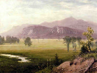 Conway Meadows, New Hampshire by Albert Bierstadt — hand-painted botanical oil painting reproduction on canvas