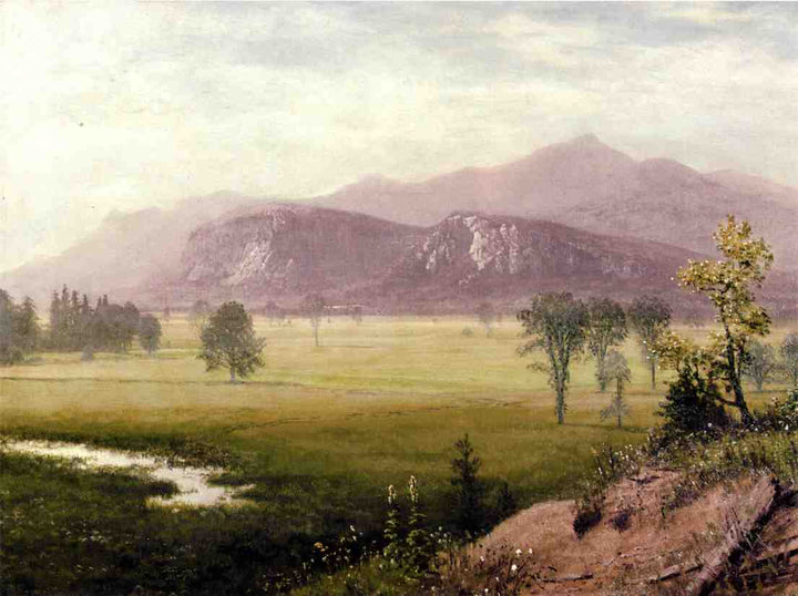 Conway Meadows, New Hampshire by Albert Bierstadt — hand-painted botanical oil painting reproduction on canvas