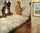 Cotton Merchants in New Orleans in entryway