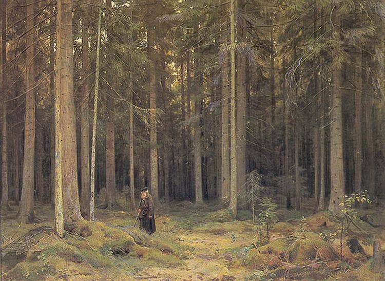 Countess Mordvinov's Forest - Ivan Shishkin