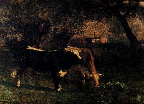 Cows at the Watering