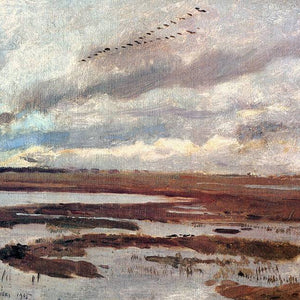 Cranes, Landscape from Meadow