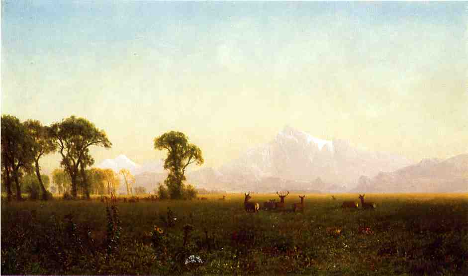 Deer Grazing, Grand Tetons, Wyoming by Albert Bierstadt — hand-painted animal oil painting reproduction on canvas