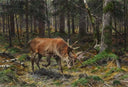 Deer in a Forest Glade by Richard Friese — hand-painted animal oil painting reproduction on canvas