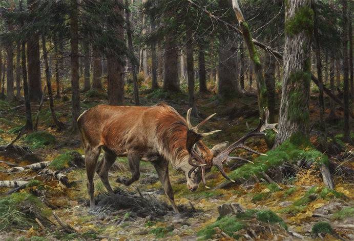 Deer in a Forest Glade - Richard Friese