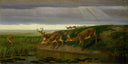 Deer on the Prairie by William Holbrook Beard, field oil painting wall art, Romanticism