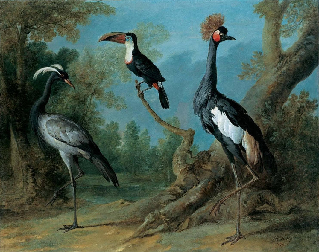 Demoiselle Crane, Toucan, and Tufted Crane by Jean-Baptiste Oudry — hand-painted animal oil painting reproduction on canvas