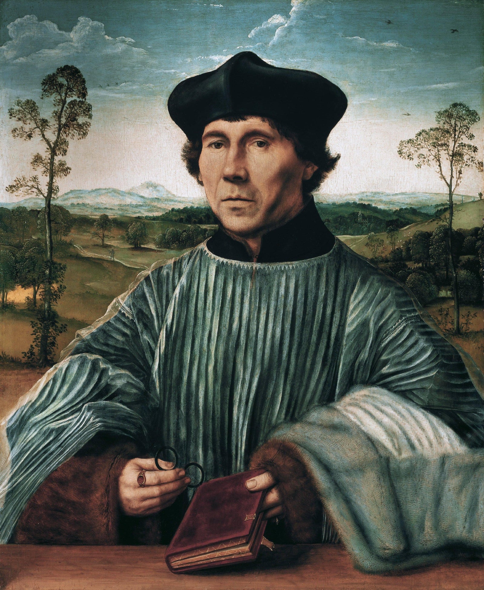 Der Kanonikus Stephan Gardiner