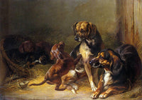 Dog and Whelps