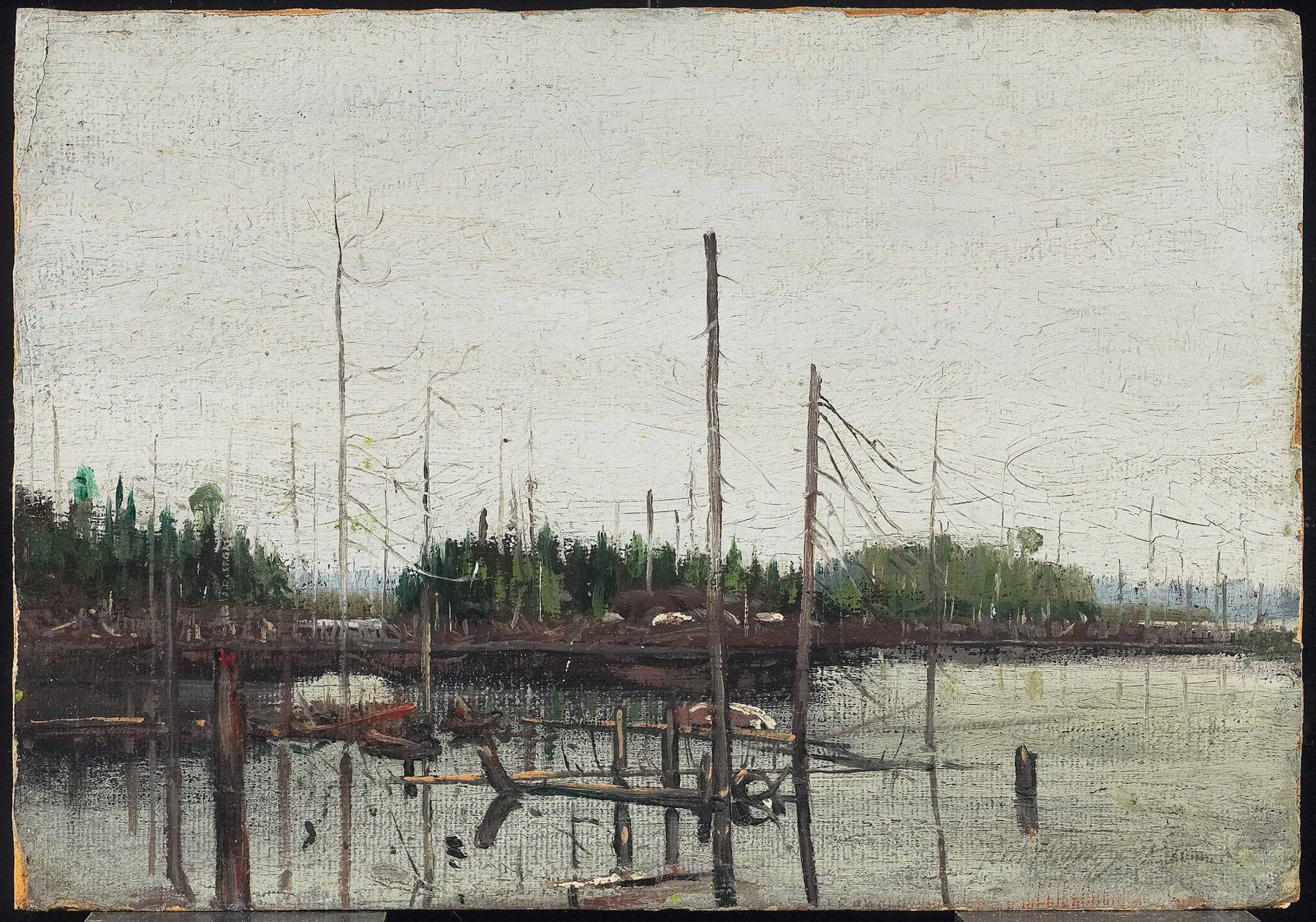 Drowned Land - Tom Thomson