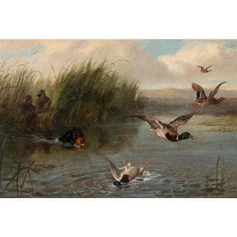 Duck Shooting on gallery wrap