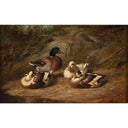 Ducks by Arthur Fitzwilliam Tait — hand-painted animal oil painting reproduction on canvas